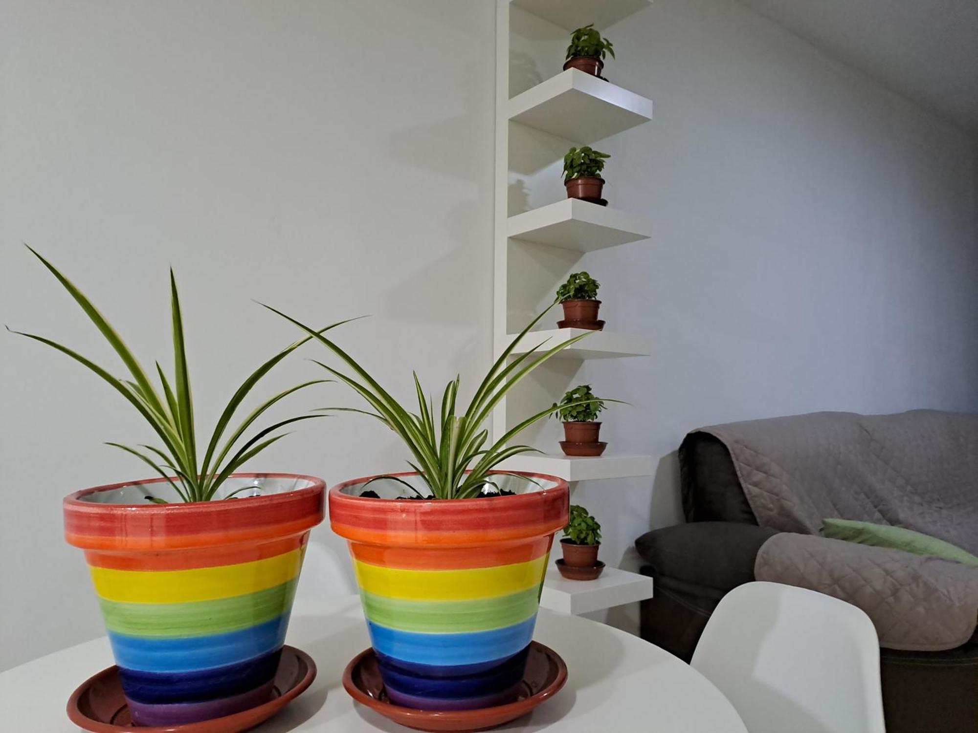 Ferienwohnung Apartamento Toyo, Parque Natural Cabo De Gata Almería Exterior foto